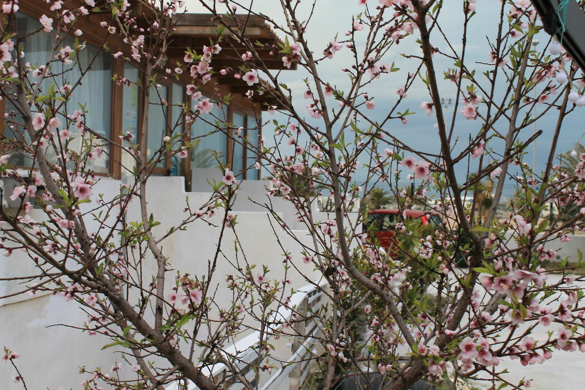 B&B Palazzo Manfredi Vieste, Fronte Mare Con Parcheggio Εξωτερικό φωτογραφία